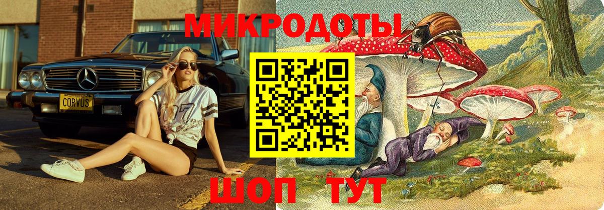 купить наркотики цена  Вход с VPN  Минусинск  Галлюциногенные грибы GOLDEN TEACHER 